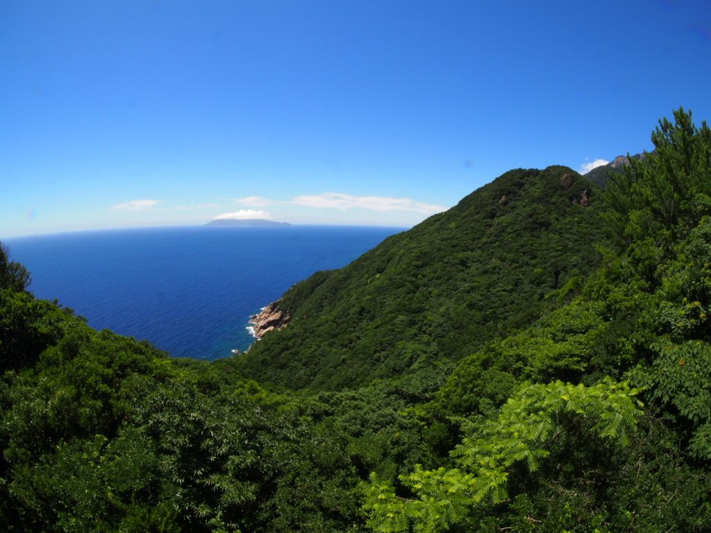 Yakushima Island Tour Gallery