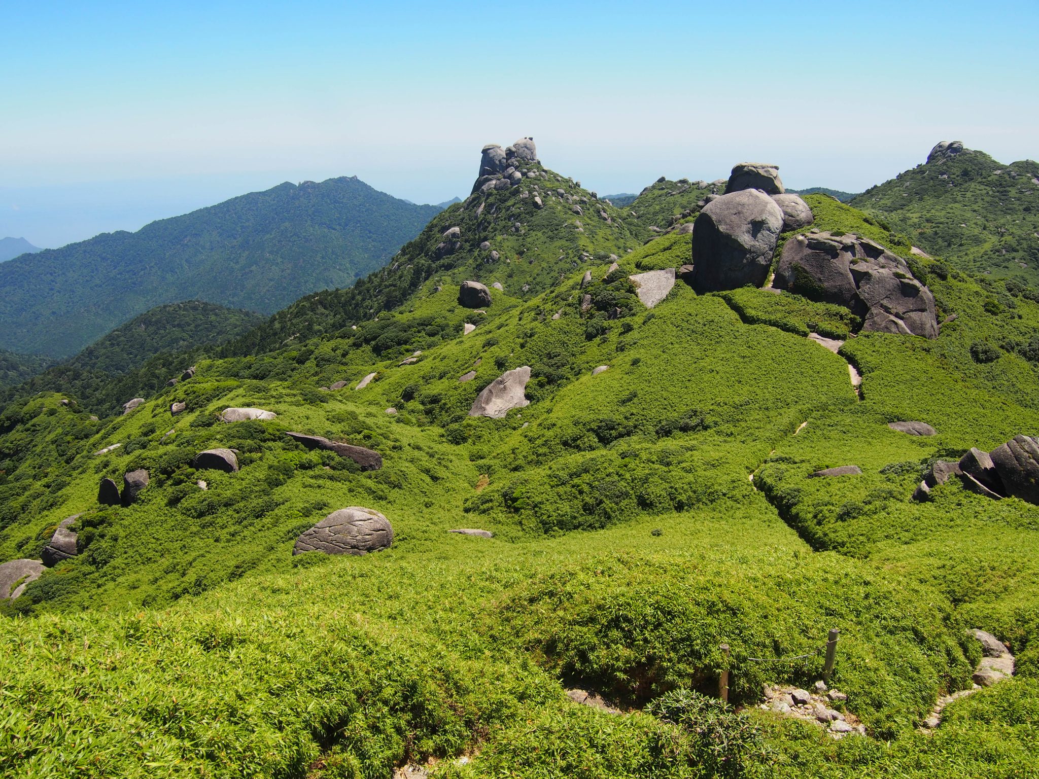 Yakushima Mountain Tour Gallery