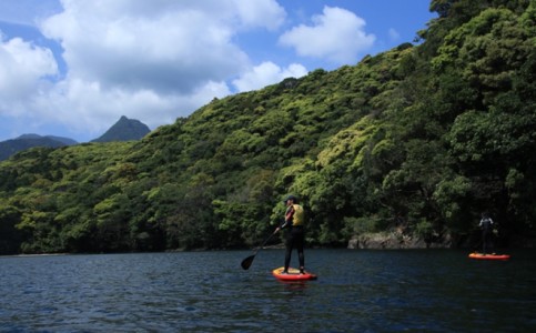 SUP Board Yakushima