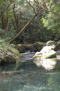 Tashiro River